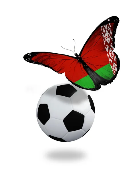Concepto - mariposa con bandera bielorrusa volando cerca de la pelota , — Foto de Stock