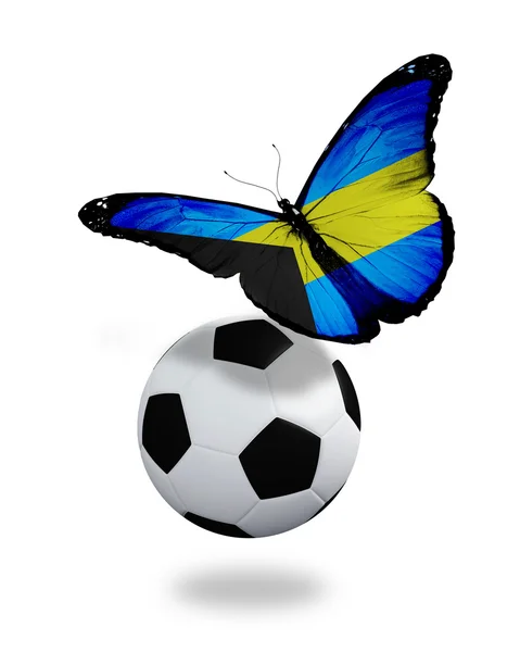 Conceito - borboleta com bandeira das Bahamas voando perto da bola, como — Fotografia de Stock