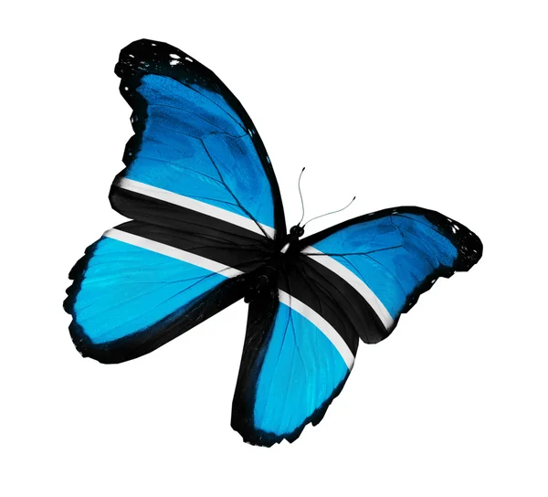 Botswana zászló pillangó repülő, a elszigetelt fehér háttér — Stock Fotó