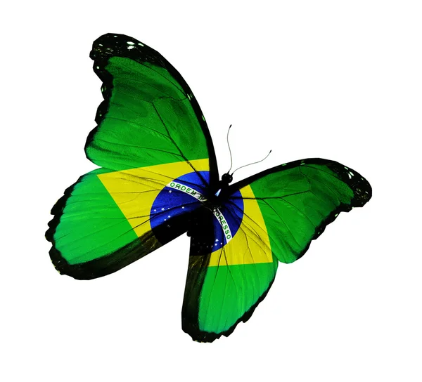 Brazilská vlajka motýl létání, izolované na bílém pozadí — Stock fotografie