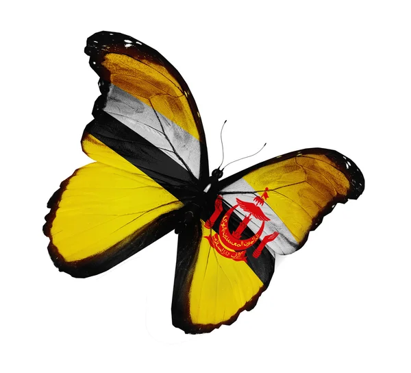 文莱国旗蝴蝶飞，孤立在白色背景 — 图库照片