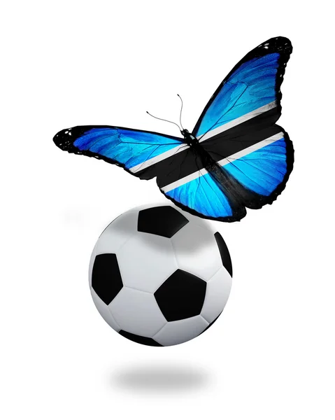 Концепция - бабочка с флагом Ботсваны, летящей рядом с мячом, как — стоковое фото