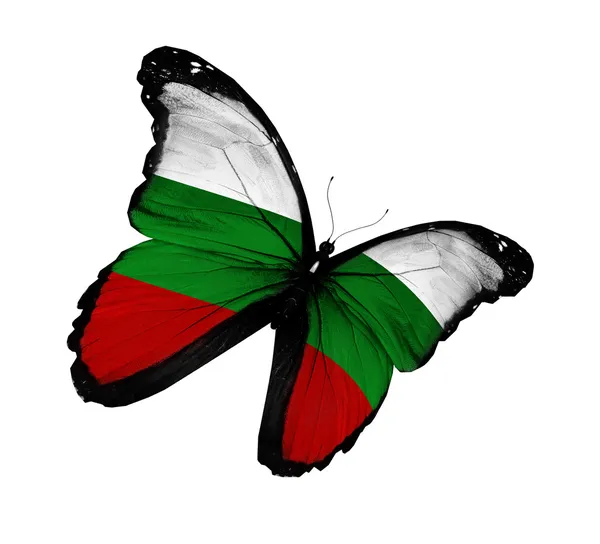 Bulgariska flaggan fjäril flyger, isolerade på vit bakgrund — Stockfoto