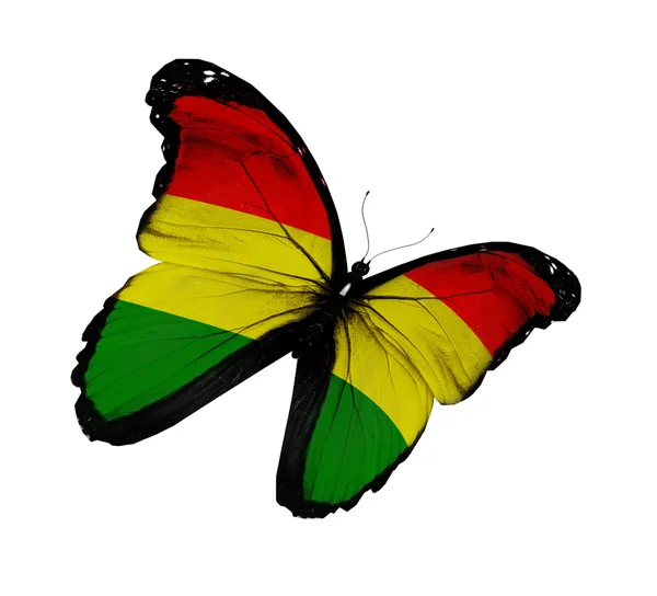 Boliviaanse vlag vlinder vliegen, geïsoleerde op witte achtergrond — Stockfoto