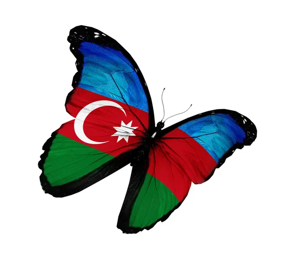Azerbajdzjans flagga fjäril flyger, isolerade på vit bakgrund — Stockfoto