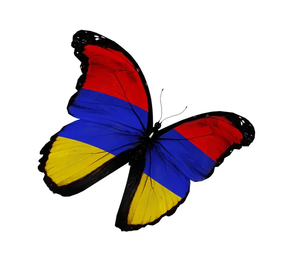Armeniska flagga fjäril flyger, isolerade på vit bakgrund — Stockfoto