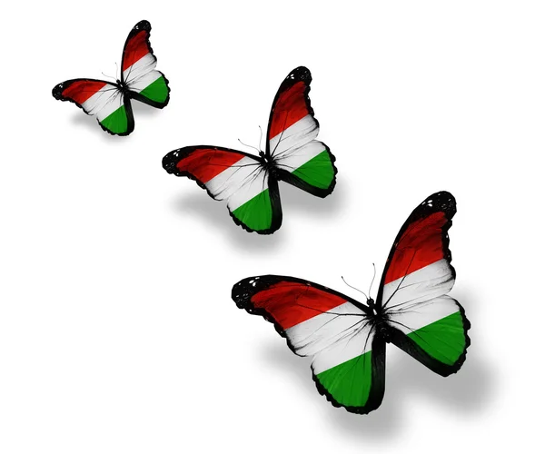 Trzy motyle węgierskiej flagi, na białym tle — Zdjęcie stockowe