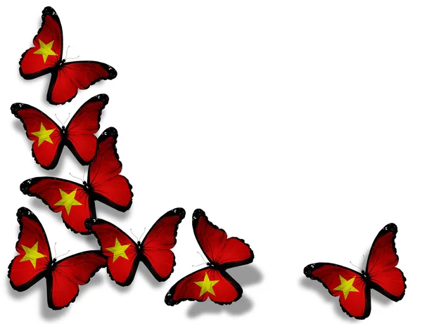 Vietnamese flag butterflies, isolated on white background — Stock Photo, Image