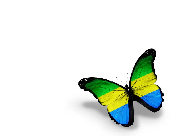 Gabons flagga fjäril, isolerad på vit bakgrund — Stockfoto