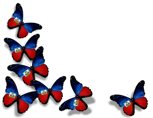 Haiti farfalle bandiera, isolato su sfondo bianco — Foto Stock
