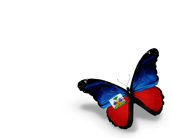 Haïti vlag vlinder, geïsoleerd op witte achtergrond — Stockfoto