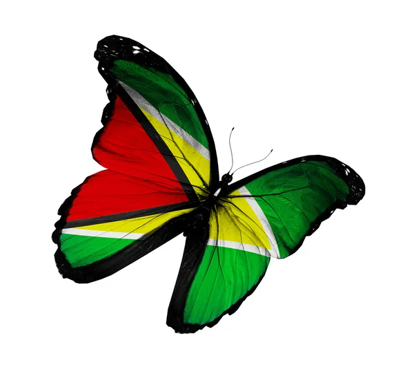 Guyana bayrak kelebek uçuyor, izole üzerinde beyaz arka plan — Stok fotoğraf
