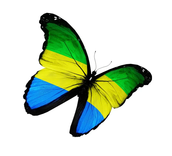 Mariposa de bandera gabonesa volando, aislada sobre fondo blanco — Foto de Stock