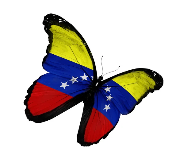 Papillon drapeau vénézuélien volant, isolé sur fond blanc — Photo