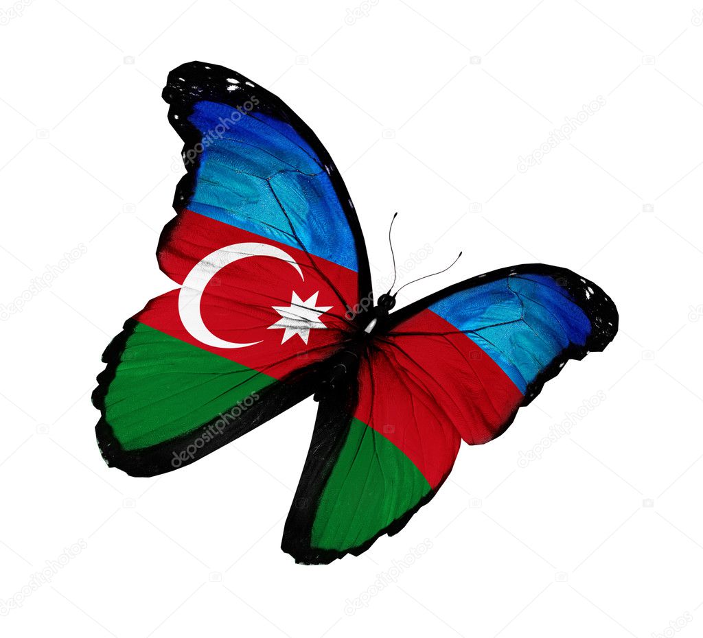 Azerbaijani flag butterfly flying, isolated on white background