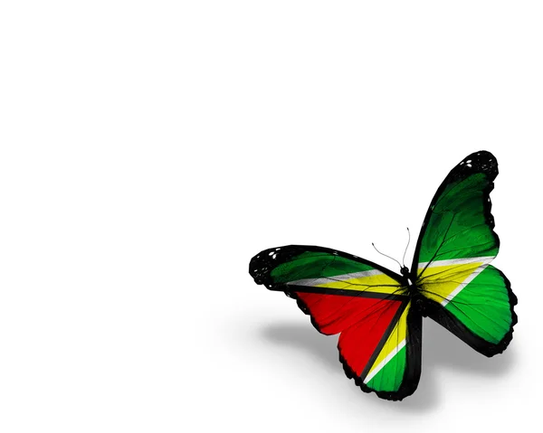 Guyana Flagge Schmetterling, isoliert auf weißem Hintergrund — Stockfoto
