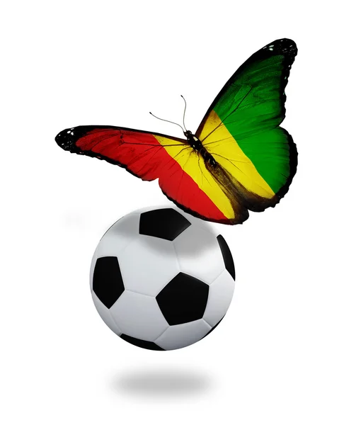 Concepto - mariposa con bandera guineana volando cerca de la pelota, como —  Fotos de Stock