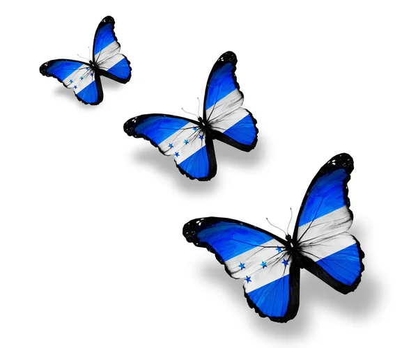 三个洪都拉斯国旗蝴蝶，孤立在白色 — 图库照片