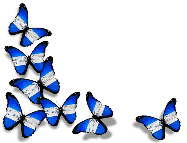 Bandeira de Honduras borboletas, isolada sobre fundo branco — Fotografia de Stock