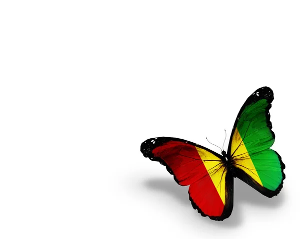 Guinean flag butterfly, isolated on white background — Stock Photo, Image