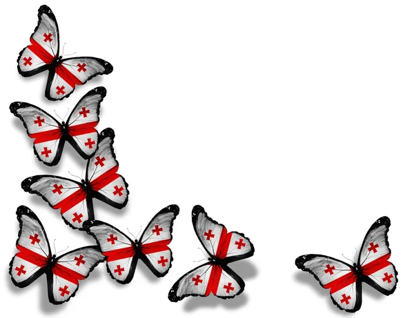 Georgische vlag vlinders, geïsoleerd op witte achtergrond — Stockfoto