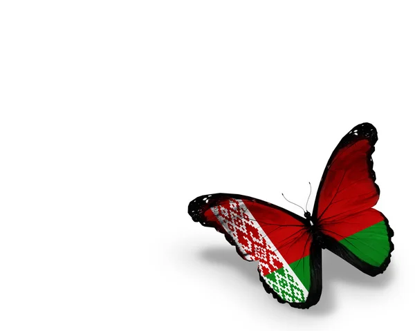 Białoruska flaga motyl, na białym tle — Zdjęcie stockowe