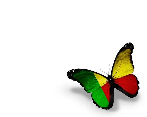 Bandiera farfalla del Benin, isolata su sfondo bianco — Foto Stock