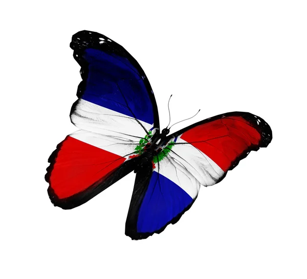 Dominikana flaga motyl latający na białym tle na tył biały — Zdjęcie stockowe