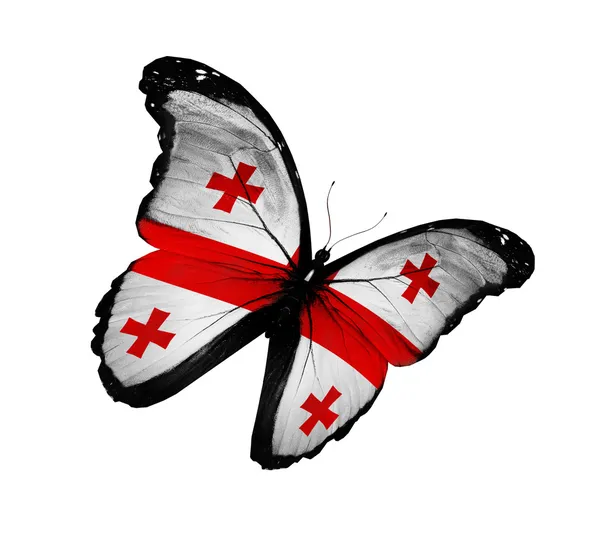 格鲁吉亚国旗蝴蝶飞，孤立在白色背景 — 图库照片