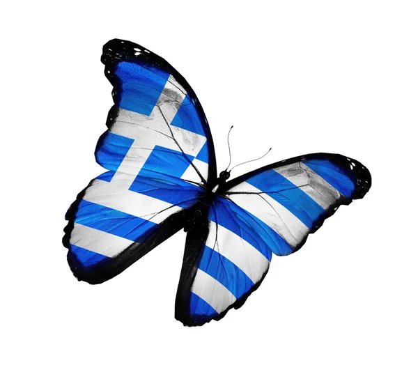 Griekse vlag vlinder vliegen, geïsoleerde op witte achtergrond — Stockfoto