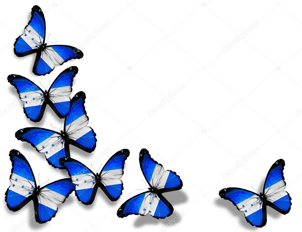 Honduras flag butterflies, isolated on white background Stock Photo by  ©sun_tiger 11979934