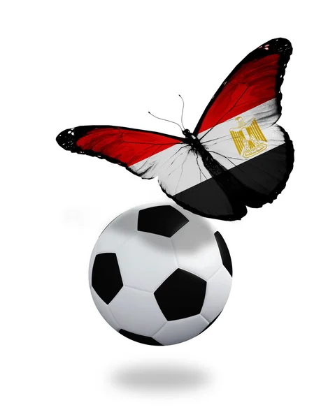 Concepto - mariposa con bandera egipcia volando cerca de la pelota, lik — Foto de Stock