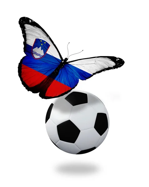 Concepto - mariposa con bandera eslovena volando cerca de la pelota, li — Foto de Stock