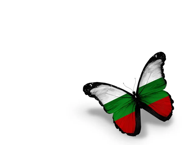 Флаг Болгарии бабочка, изолированные на белом фоне — стоковое фото