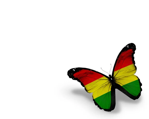 Papillon drapeau bolivien, isolé sur fond blanc — Photo