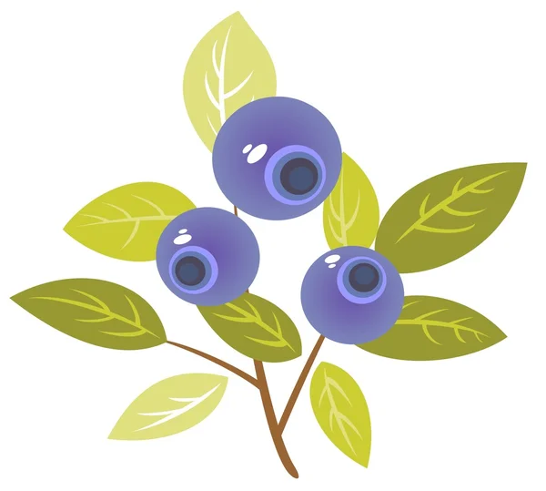 Bilberry — Stock Photo, Image