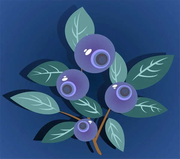 Bilberry — Stock Photo, Image