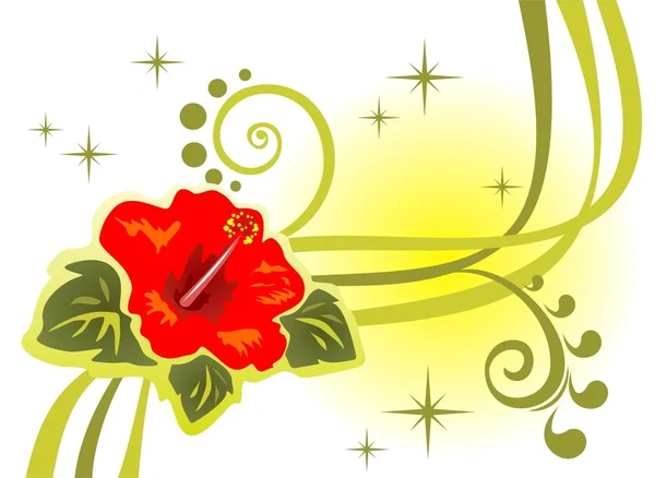 Красный цветок и полоски — стоковое фото