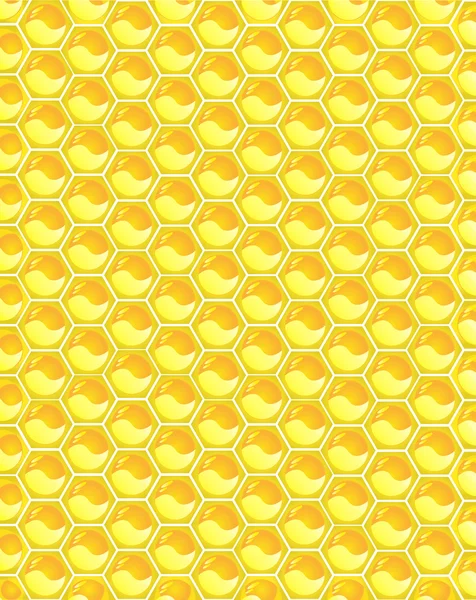 मधुमक्खी हनीकॉम — स्टॉक वेक्टर