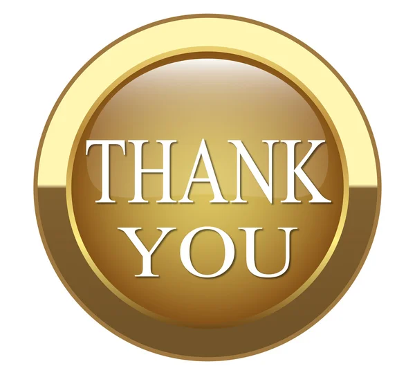 The button "THANK YOU" — Stock Vector
