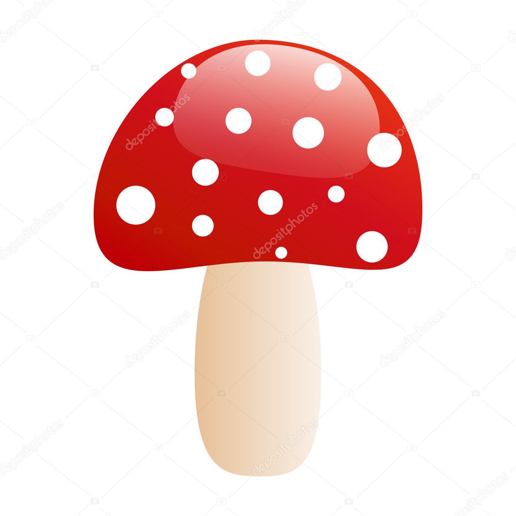 Agaric mushroom