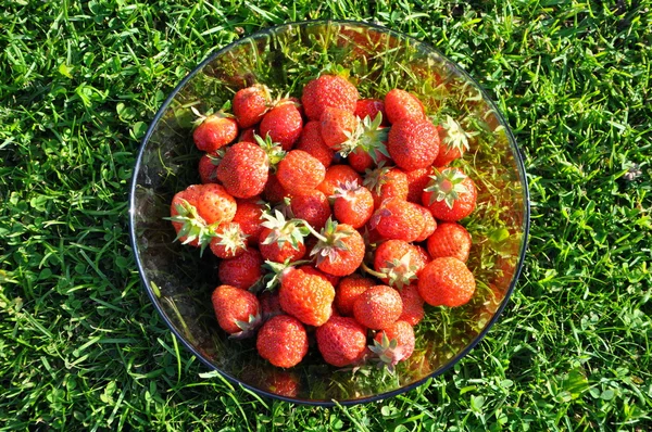 Un plato de fresas —  Fotos de Stock