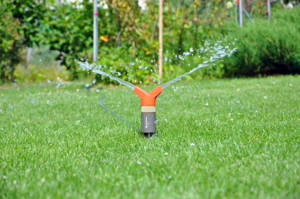 stock image Watering the lawn