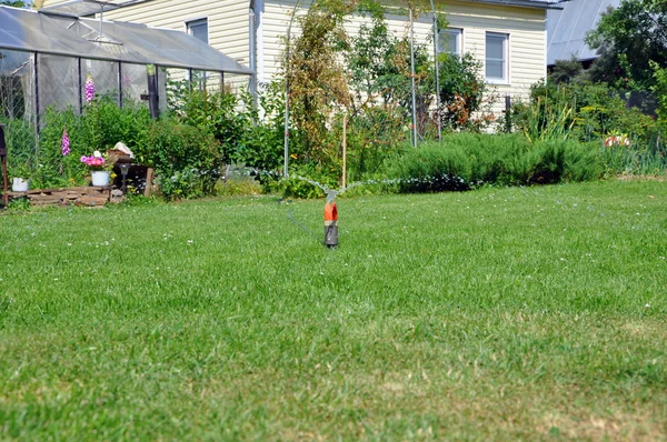 芝生に水をやる — ストック写真