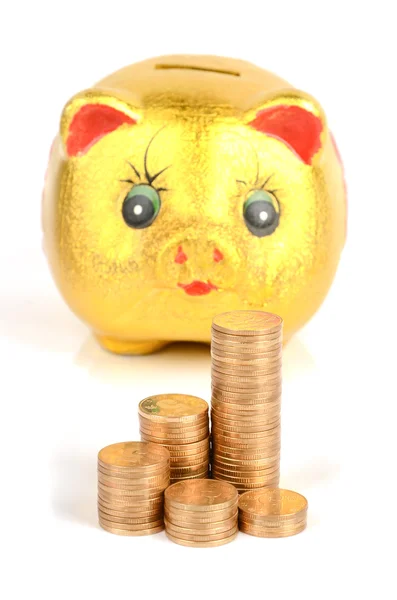 Piggy bank and coin — Stock Photo, Image