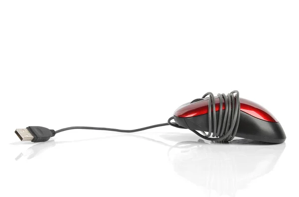 Красная компьютерная мышь — стоковое фото