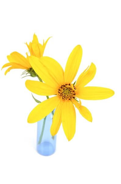 菊芋在花瓶中的花 — 图库照片