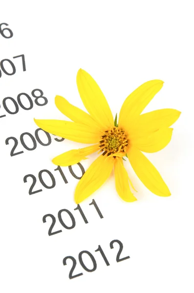Топінамбур квітка на тайм-лінії — стокове фото
