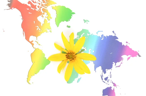 Topinambur kwiat i świata mapa — Zdjęcie stockowe
