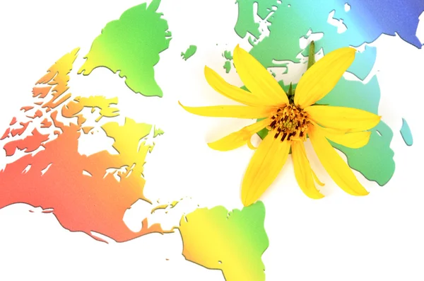 菊芋花和世界地图 — 图库照片